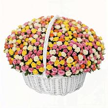 Премиум букет из: Розы в Яшкино