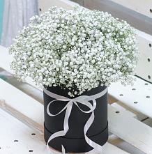 Цветочная композиция из Гипсофила в шляпной коробке #REPLACE_PRED# Яшкино