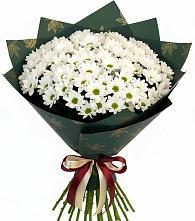 Букет цветов из:  Хризантемы в Яшкино