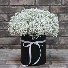 Цветочная композиция из Гипсофила в шляпной коробке в Яшкино